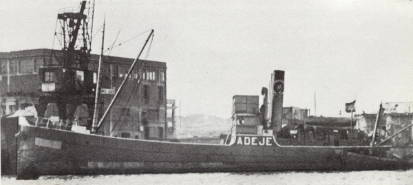 Adeje - Vida Marítima Adeje - Vida Marítima